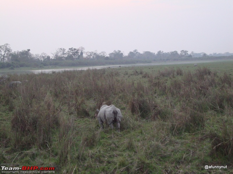 Guwahati - Kaziranga - Shillong trip-077dsc01789.jpg