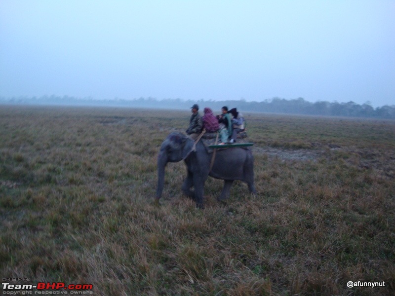 Guwahati - Kaziranga - Shillong trip-121dsc01849.jpg