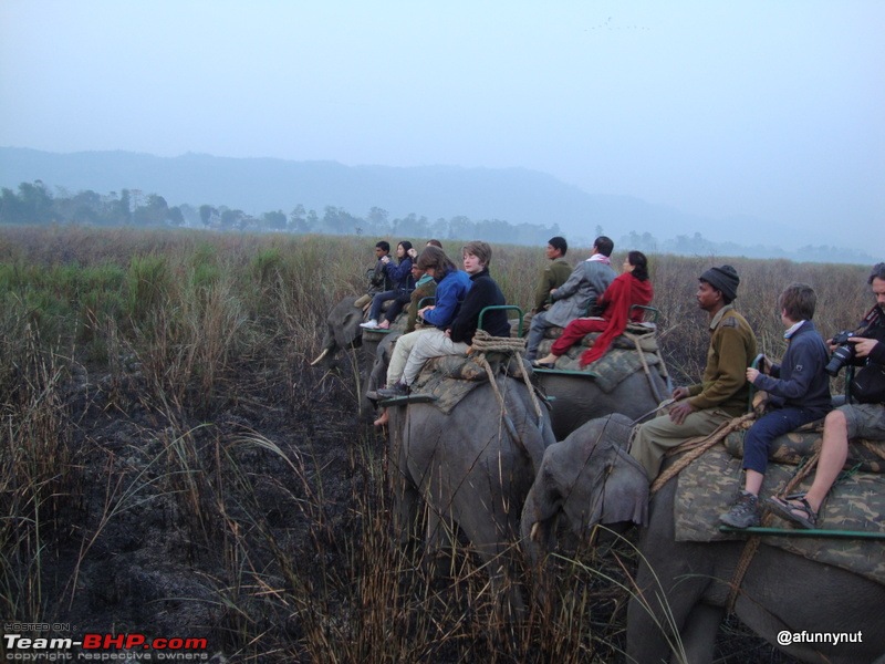 Guwahati - Kaziranga - Shillong trip-131dsc01862.jpg