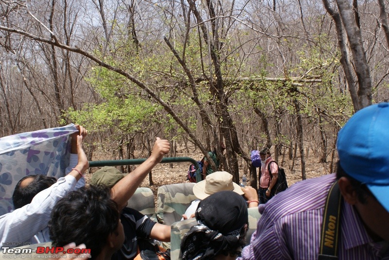 Ranthambhore : Water Hole Animal Census, tigers, forts and more....-dsc09335.jpg