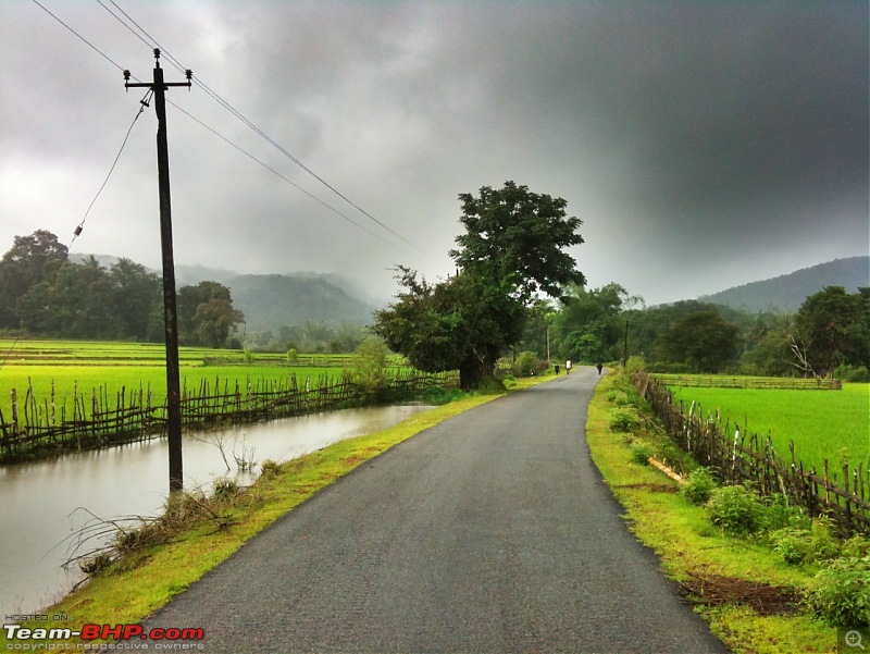 Malnad Odyssey - Scenic Drives through the Western Ghats in Karnataka-photo-8.jpg