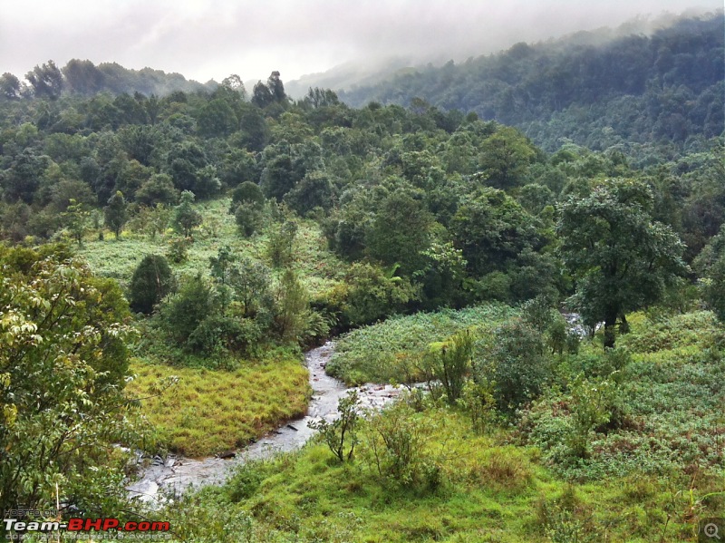 Malnad Odyssey - Scenic Drives through the Western Ghats in Karnataka-photo-7.jpg