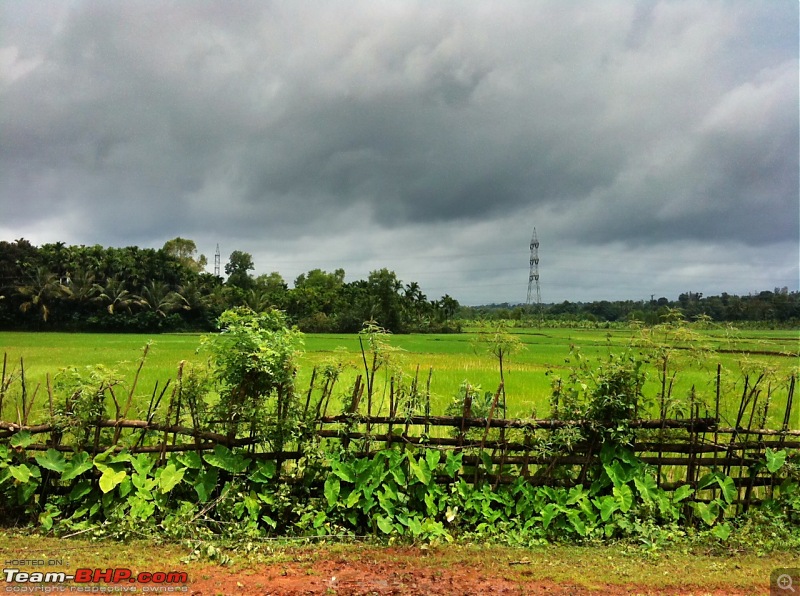 Malnad Odyssey - Scenic Drives through the Western Ghats in Karnataka-photo-10.jpg