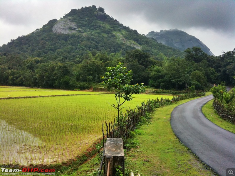 Malnad Odyssey - Scenic Drives through the Western Ghats in Karnataka-photo-26.jpg