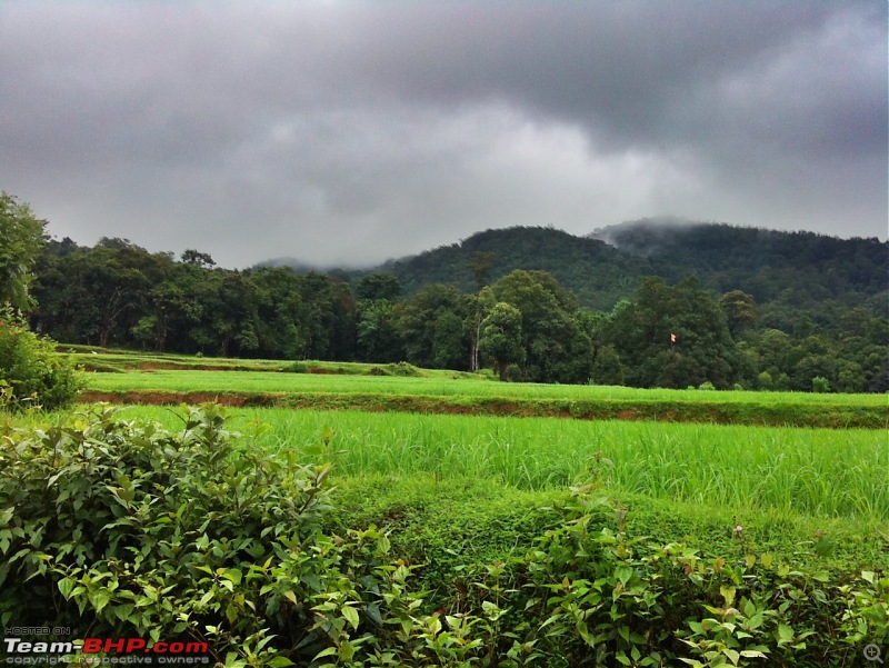 Malnad Odyssey - Scenic Drives through the Western Ghats in Karnataka-photo-15.jpg