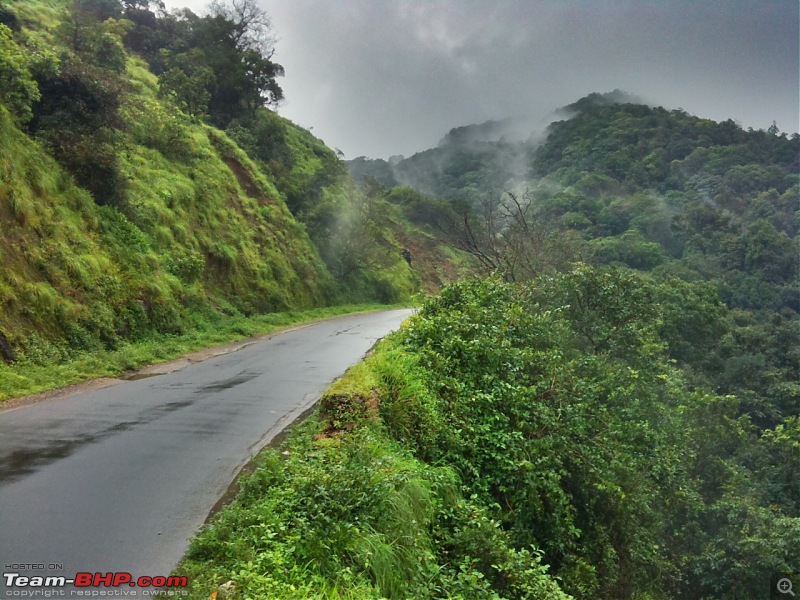 Malnad Odyssey - Scenic Drives through the Western Ghats in Karnataka-photo-22.jpg