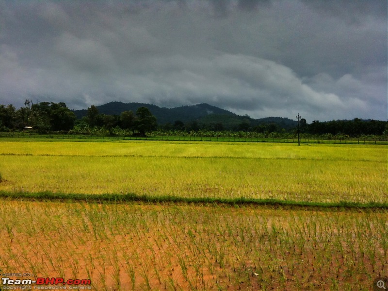 Malnad Odyssey - Scenic Drives through the Western Ghats in Karnataka-photo-1.jpg