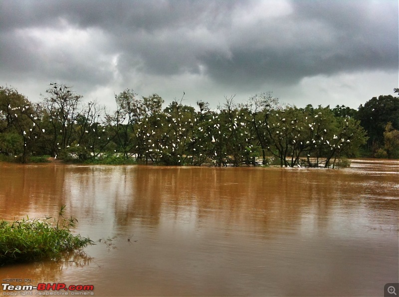 Malnad Odyssey - Scenic Drives through the Western Ghats in Karnataka-photo-16.jpg