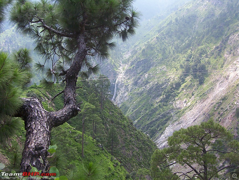 Kashmir : Nature's bewitching drama !!-100_4348.jpg