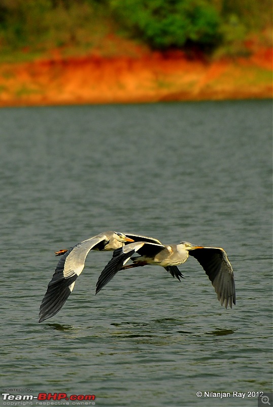 Exploring the Great Indian Outdoors-dsc_4137.jpg