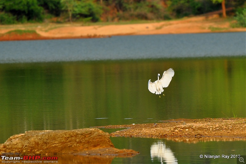 Exploring the Great Indian Outdoors-dsc_4244.jpg