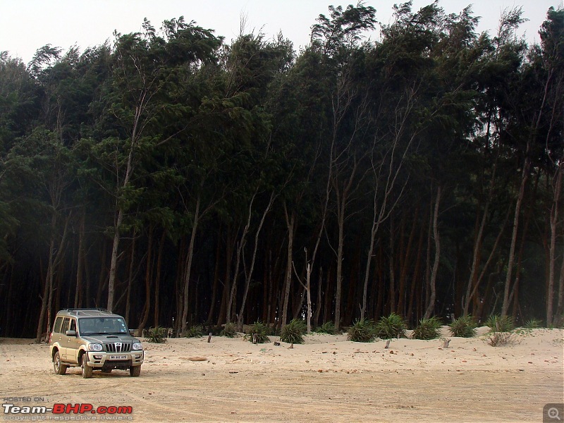 Tajpur : Close to Kolkata, but fun too-dsc08488.jpg