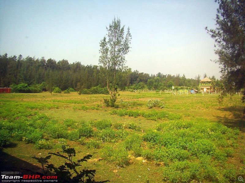 Tajpur : Close to Kolkata, but fun too-dsc08781.jpg