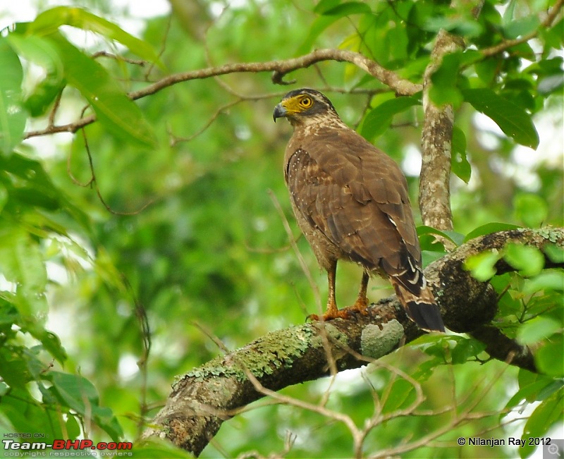 Exploring the Great Indian Outdoors-dsc_3428.jpg