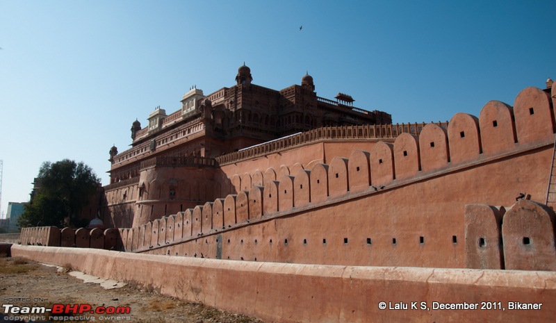 Rajasthan - Padharo Mhare Des-dsc_0504.jpg