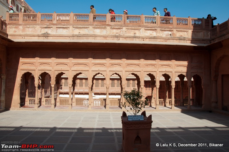 Rajasthan - Padharo Mhare Des-dsc_0630.jpg