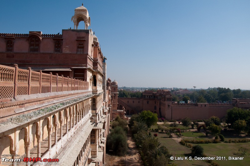 Rajasthan - Padharo Mhare Des-dsc_0633.jpg