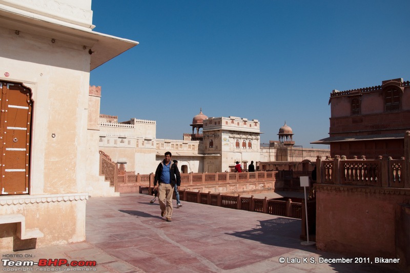 Rajasthan - Padharo Mhare Des-dsc_0634.jpg
