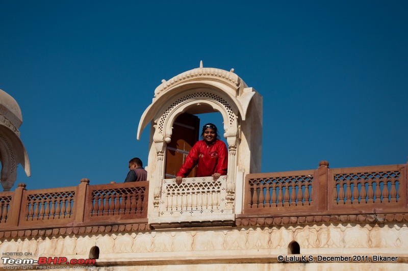 Rajasthan - Padharo Mhare Des-dsc_0636.jpg