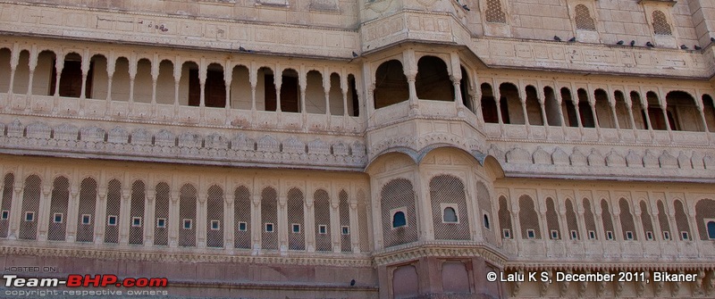Rajasthan - Padharo Mhare Des-dsc_0766.jpg