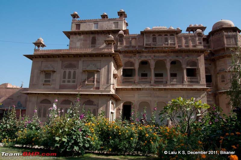 Rajasthan - Padharo Mhare Des-dsc_0785.jpg