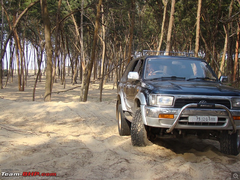 Tajpur : Close to Kolkata, but fun too-dsc08574.jpg