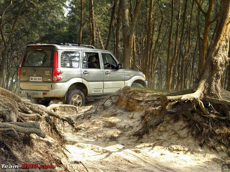 Tajpur : Close to Kolkata, but fun too-p4290316.jpg