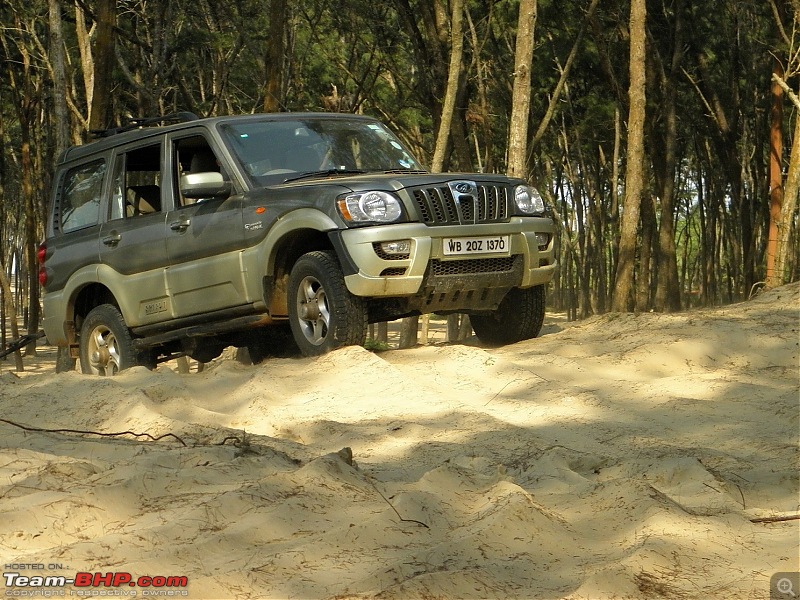 Tajpur : Close to Kolkata, but fun too-p4290318.jpg