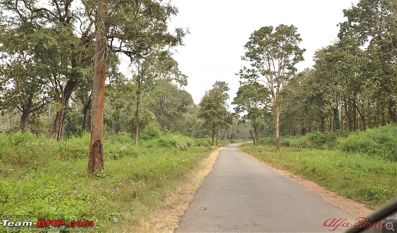 My drive to Coorg, the Scotland of India-dsc_1145.jpg