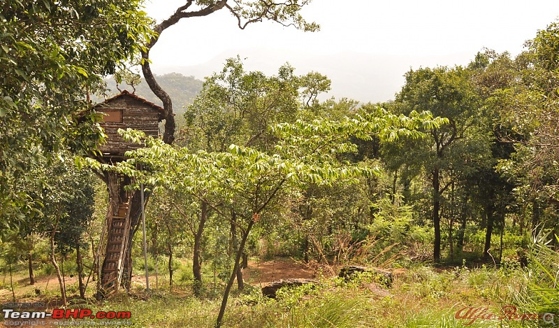 My drive to Coorg, the Scotland of India-dsc_0780.jpg