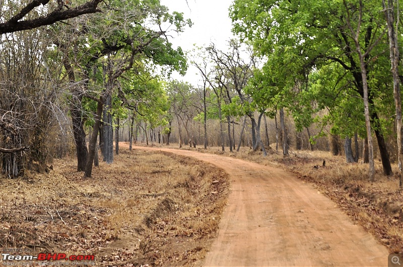 Tadoba Tiger Reserve visit - May 2012-0003.jpg