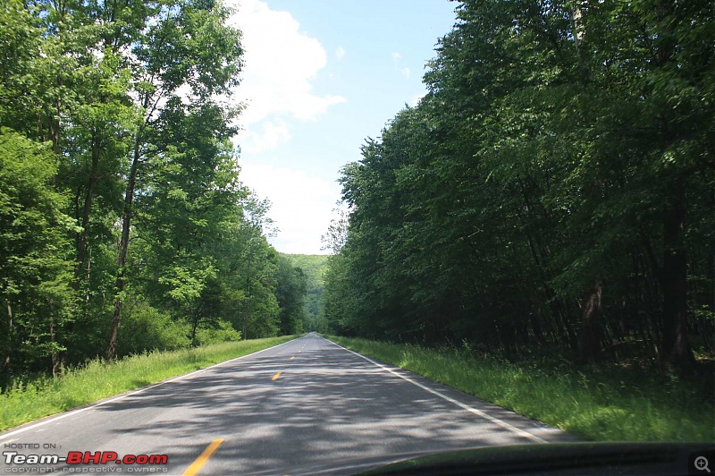 2400 mile roadTrip - May 2012 (Hartford-Chicago-Wisconsin-Detroit-ElkCountry-Hfd)-day-6-elkcountry-16.jpg