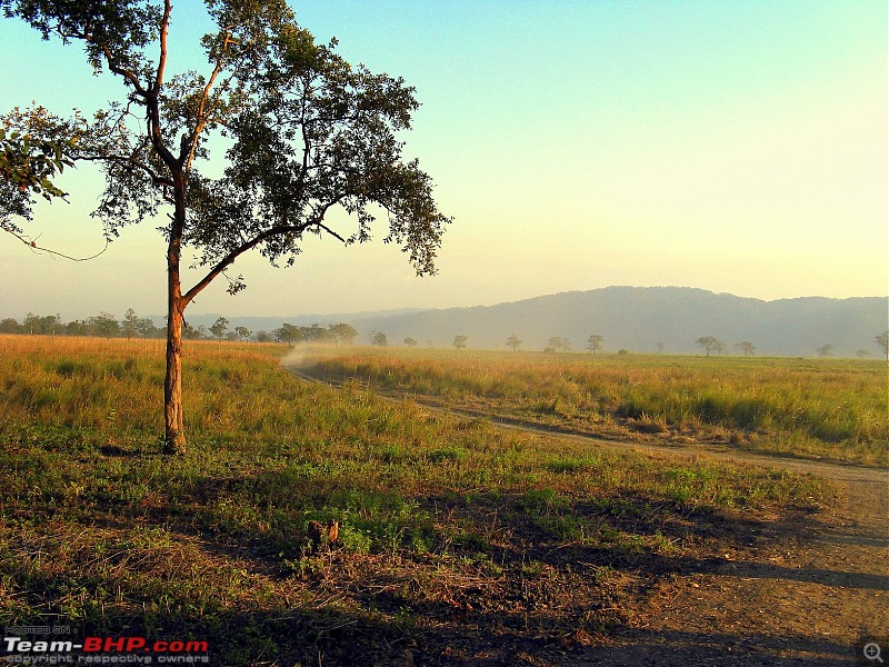 Kaziranga National Park-World Heritage Site-img_03081.jpg
