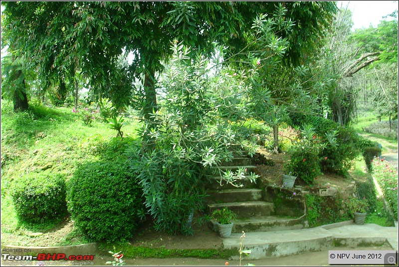 Dizzy Drive : Wonderful Valparai (enchanted by Sinnadorai's Bungalow) and more!-32b.jpg