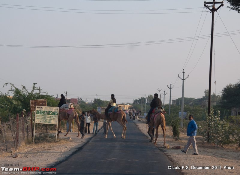 Rajasthan - Padharo Mhare Des-dsc_1454.jpg
