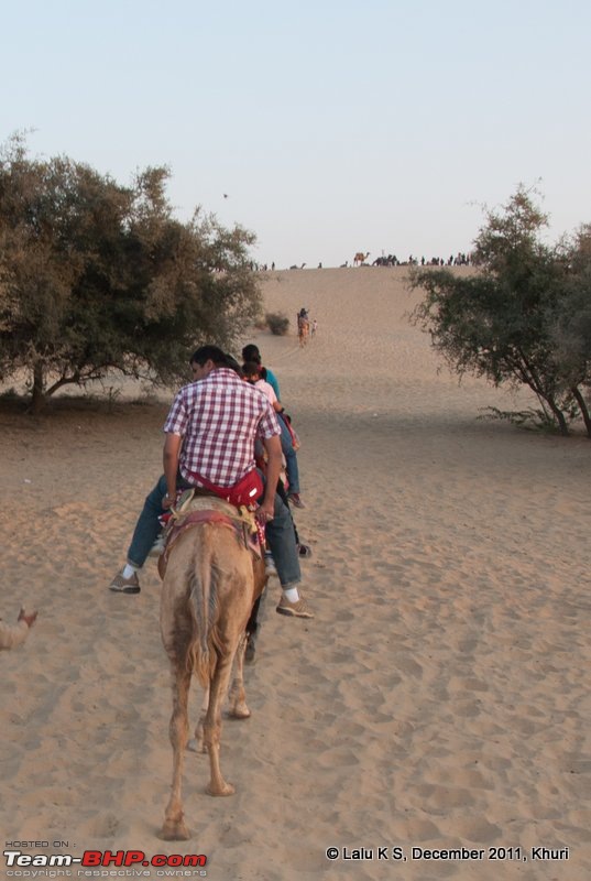 Rajasthan - Padharo Mhare Des-dsc_1512.jpg