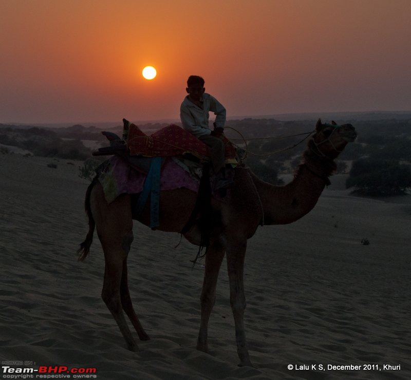 Rajasthan - Padharo Mhare Des-dsc_1544.jpg