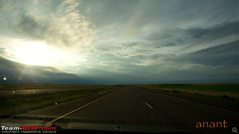 Yellowstone National Park : A Drive to Remember-dsc00262.jpg