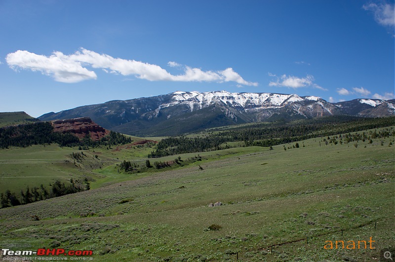 Yellowstone National Park : A Drive to Remember-dsc00325.jpg