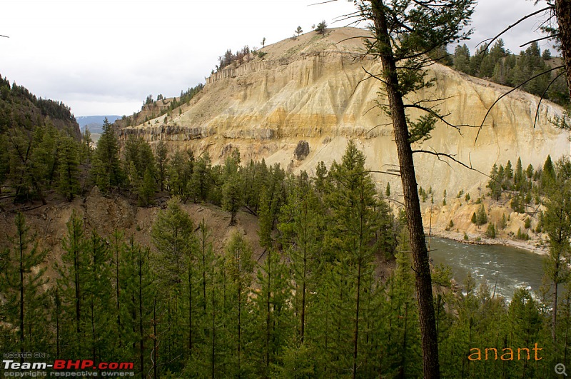 Yellowstone National Park : A Drive to Remember-dsc00442.jpg