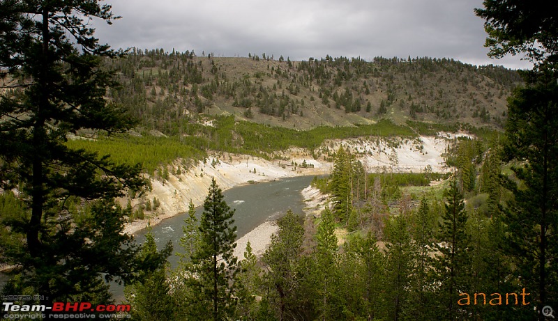 Yellowstone National Park : A Drive to Remember-dsc00444.jpg