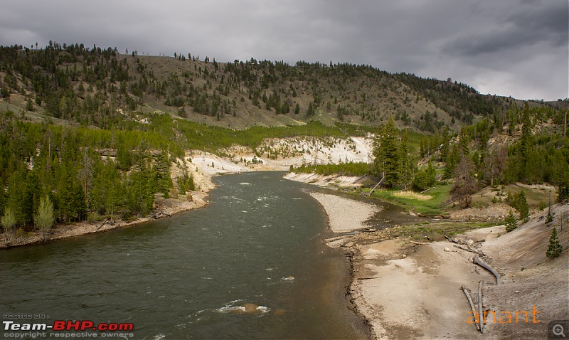 Yellowstone National Park : A Drive to Remember-dsc00445.jpg
