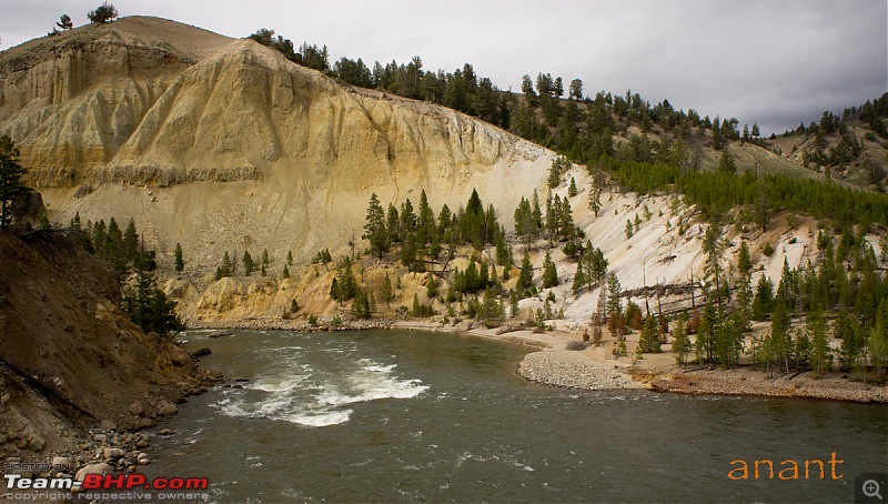 Yellowstone National Park : A Drive to Remember-dsc00446.jpg