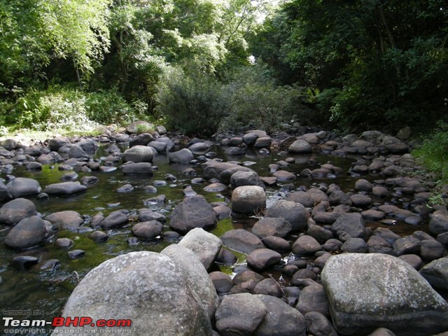 Evergreen Mudumalai- A Week's Getaway from Bangalore-tbhp20.jpg