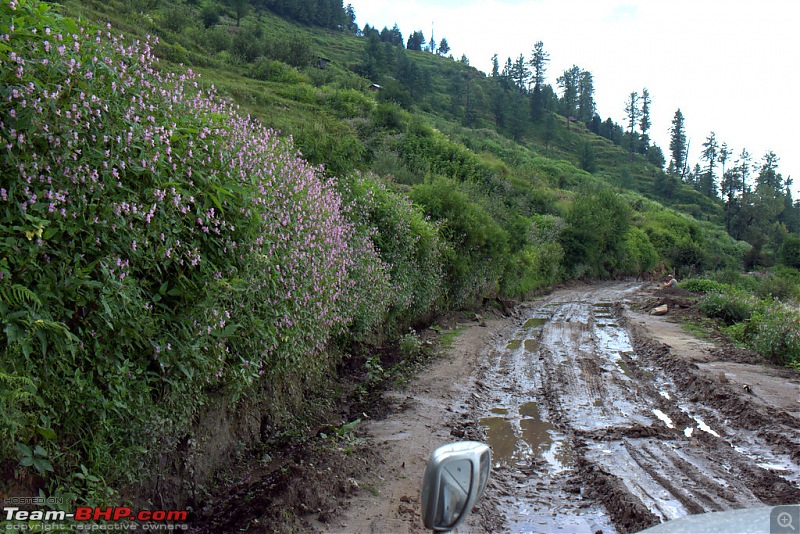 Reflecting on Driving Addictions - Bangalore to Spiti and Changthang-034.jpg