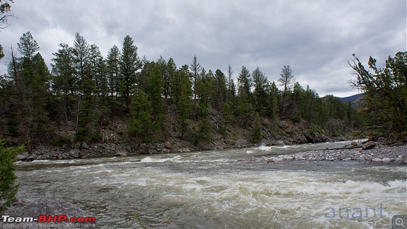 Yellowstone National Park : A Drive to Remember-dsc00530.jpg