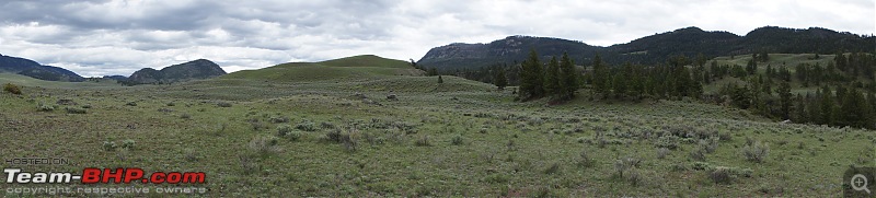 Yellowstone National Park : A Drive to Remember-dsc00550.jpg