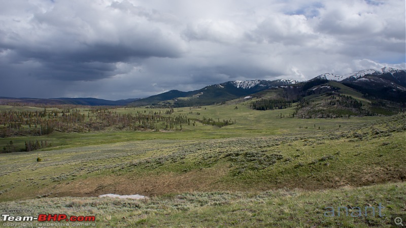 Yellowstone National Park : A Drive to Remember-dsc00630.jpg