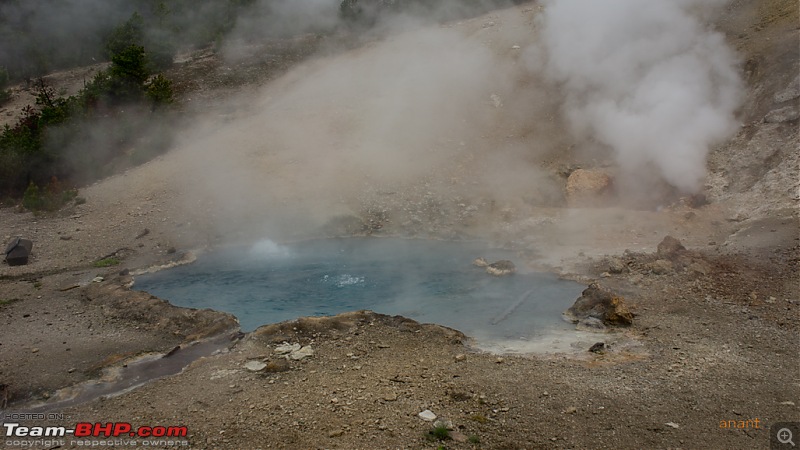 Yellowstone National Park : A Drive to Remember-dsc00646.jpg