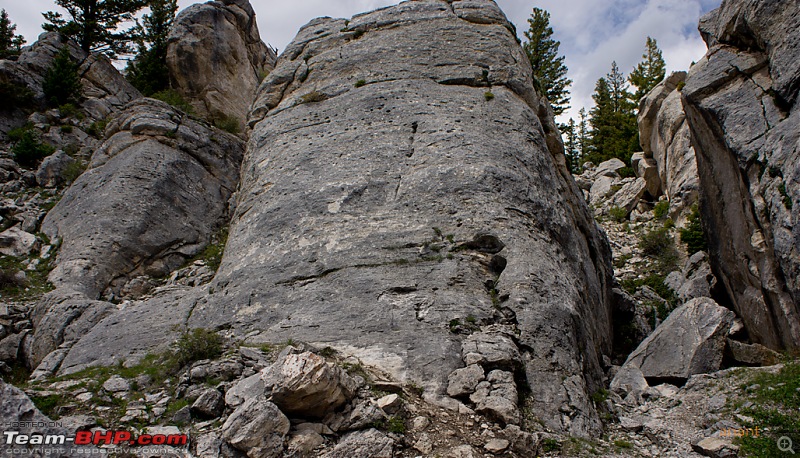 Yellowstone National Park : A Drive to Remember-dsc00699.jpg